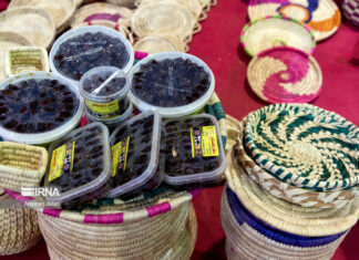 تهاتر خرما با میوههای گرمسیری در سامانه جامع تجارت بارگذاری شد