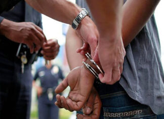 دستگیری ۲ کلاهبردار در بوشهر با وعده دروغ فروش خودرو