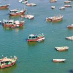 بهره برداری از اولین کشتی حمل بچه ماهی زنده در جنوب کشور