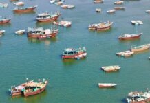 بهره برداری از اولین کشتی حمل بچه ماهی زنده در جنوب کشور