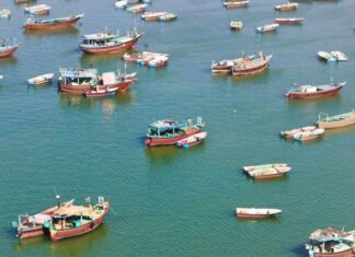 بهره برداری از اولین کشتی حمل بچه ماهی زنده در جنوب کشور