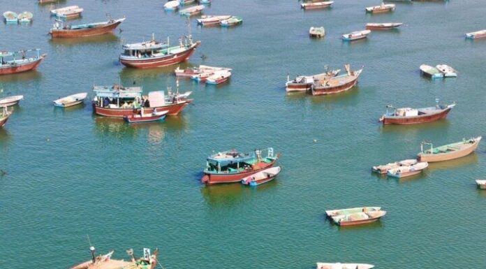 بهره برداری از اولین کشتی حمل بچه ماهی زنده در جنوب کشور