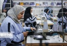 نرخ بیکاری استان بوشهر کاهش یافت