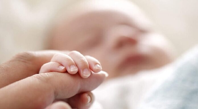 ثبت بیشترین ولادت بوشهری ها در ۵ سال اول زندگی زوجین