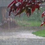 نخستین سامانه بارش پاییزی در راه بوشهر