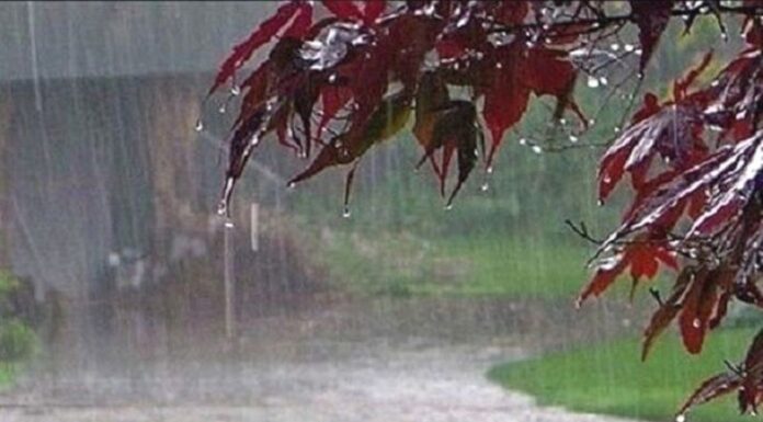 نخستین سامانه بارش پاییزی در راه بوشهر