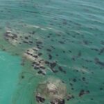 تعویض خطوط لوله دریایی در خلیج فارس ضروری است