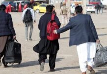 تشدید طرح شناسایی و طرد اتباع خارجی غیرمجاز در استان بوشهر