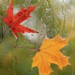 آغاز روند کاهش دما؛ ورود سامانه جدید بارشی به کشور