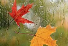 آغاز روند کاهش دما؛ ورود سامانه جدید بارشی به کشور