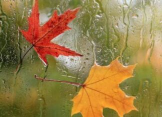 آغاز روند کاهش دما؛ ورود سامانه جدید بارشی به کشور