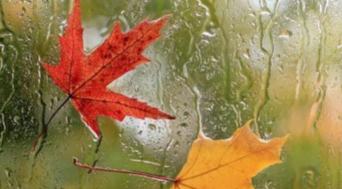 آغاز روند کاهش دما؛ ورود سامانه جدید بارشی به کشور