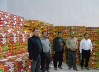 راهاندازی ۱۱۰ واحد فرآوری خرما در بوشهر