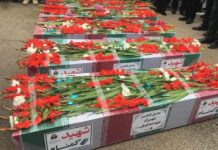 ورود ۵ شهید گمنام بوشهر + تصویر