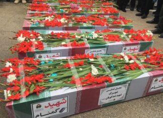 ورود ۵ شهید گمنام بوشهر + تصویر