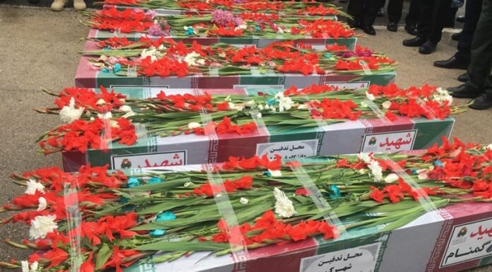 ورود ۵ شهید گمنام بوشهر + تصویر