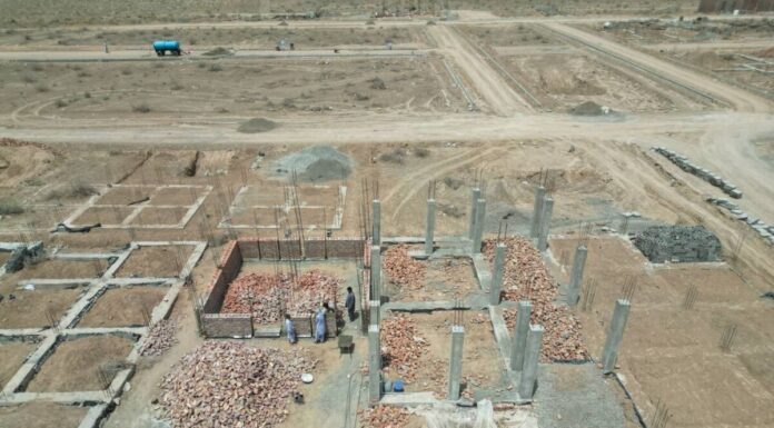 ۲۳۵.۵ هکتار اراضی ملی در گناوه رفع تصرف و خلع ید شد