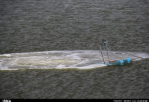 بانکها از تولیدکنندگان و سرمایه گذاران بخش شیلات حمایت کنند