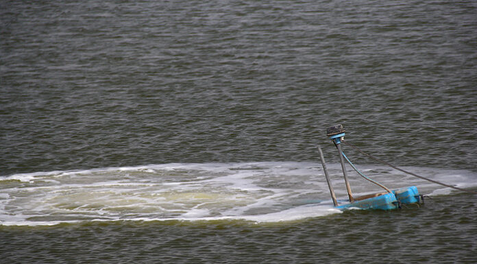 بانکها از تولیدکنندگان و سرمایه گذاران بخش شیلات حمایت کنند