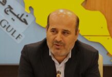 فیلم / قطع برق در بوشهر کاهش یافت