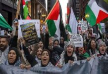 بسیج الگویی برای آزادیخواهان