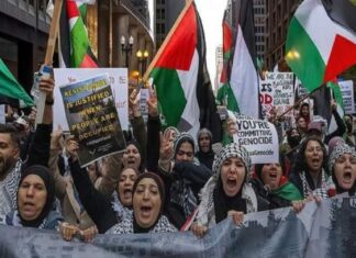 بسیج الگویی برای آزادیخواهان