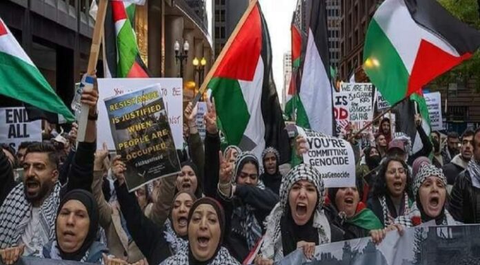 بسیج الگویی برای آزادیخواهان