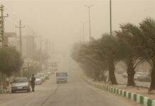 هوای ۵ شهر بوشهر در وضعیت خطرناک