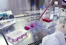 راهاندازی ۳۰ آزمایشگاه همکار استاندارد در بوشهر