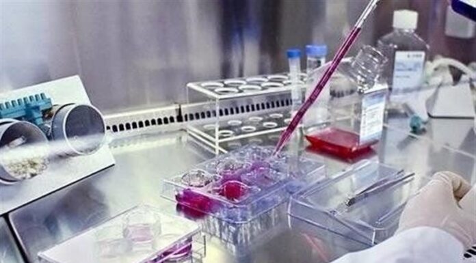 راهاندازی ۳۰ آزمایشگاه همکار استاندارد در بوشهر