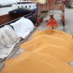 تخلیه کشتی ۲۶ هزار تنی گندم وارداتی در بندر بوشهر