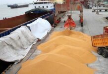 تخلیه کشتی ۲۶ هزار تنی گندم وارداتی در بندر بوشهر