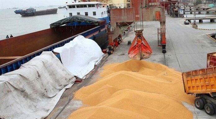 تخلیه کشتی ۲۶ هزار تنی گندم وارداتی در بندر بوشهر