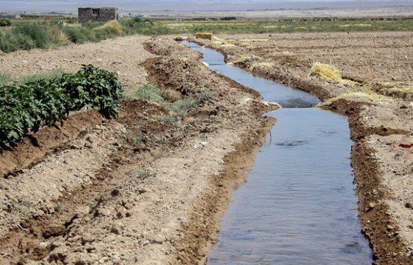نبض حیات کشاورزی استان بوشهر بد میزند؛ لزوم مدیریت منابع آبی