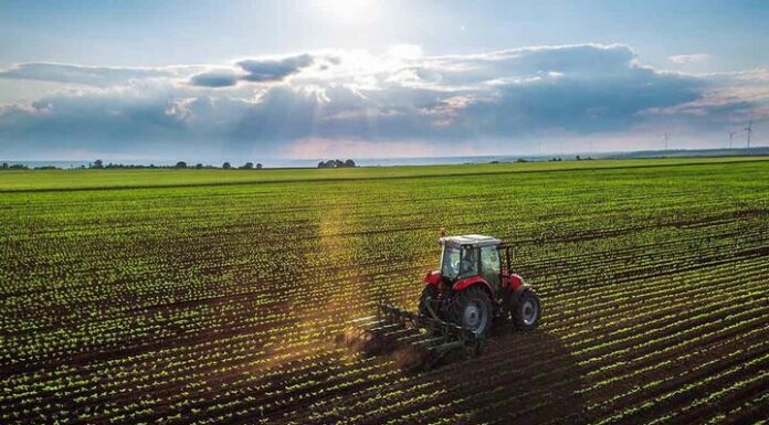 تجمیع اراضی کشاورزی در بوشهر دنبال میشود