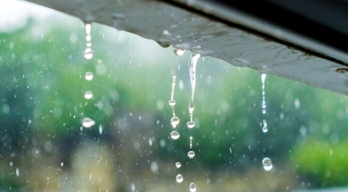 بارش پراکنده باران در استان بوشهر