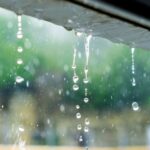 افزایش پوشش ابر و بارش پراکنده باران در استان بوشهر