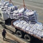 ۵۶ هزار تن برنج و گندم از طریق بندر بوشهر وارد کشور شد