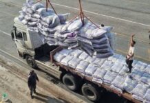 ۵۶ هزار تن برنج و گندم از طریق بندر بوشهر وارد کشور شد