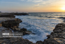 سواحل استان بوشهر تا دوشنبه متلاطم است