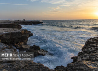 سواحل استان بوشهر تا دوشنبه متلاطم است