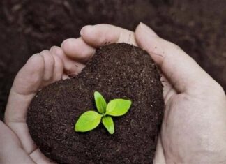 اطلس خاکشناسی استان بوشهر تکمیل میشود