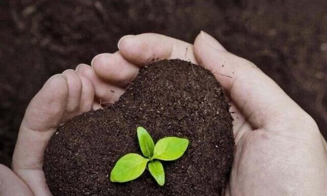 اطلس خاکشناسی استان بوشهر تکمیل میشود