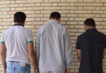 باند سارقان در دشتستان منهدم شد