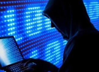 ۸۰ درصد مجرمان پروندههای جرایم سایبری در بوشهر غیربومی هستند