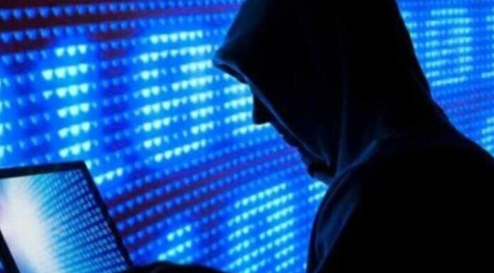 ۸۰ درصد مجرمان پروندههای جرایم سایبری در بوشهر غیربومی هستند