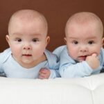 کاهش ولادت در استان بوشهر