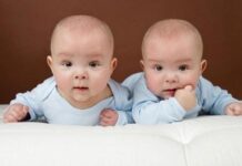 کاهش ولادت در استان بوشهر