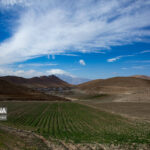 بیم و امید کشاورزان بوشهری