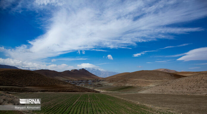 بیم و امید کشاورزان بوشهری